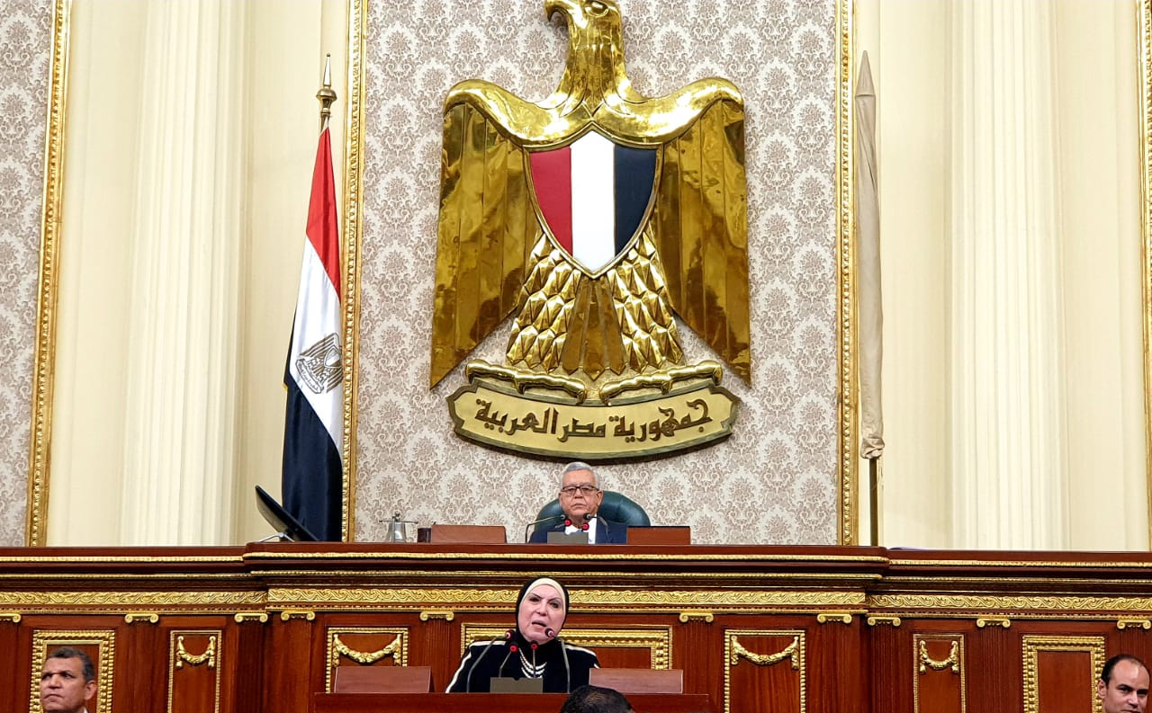وزيرة التجارة والصناعة امام الجلسة العامة لمجلس النواب