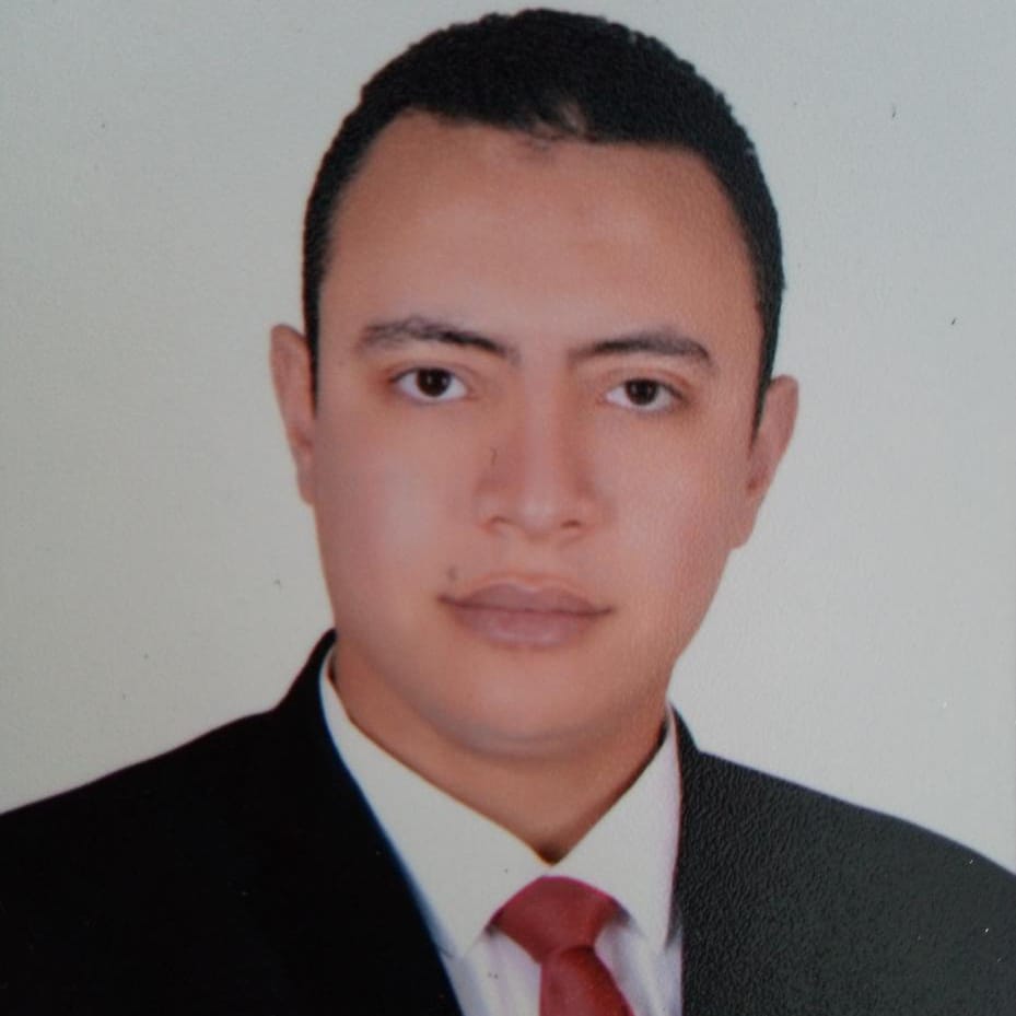طه احمد يكتب .."مصر هي ميزان التاريخ في المنطقة وقلب العالم القديم"