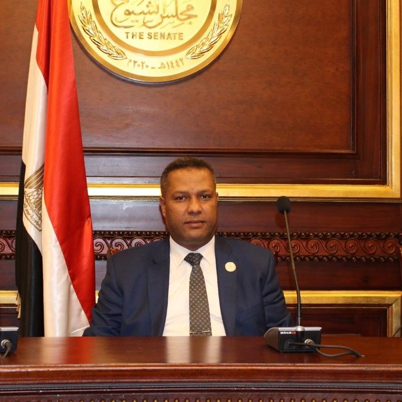 النائب محمد حمزه : الرئيس السيسي حدد بشكل واضح عقيدة الامة المصرية ووضع العالم أمام مسئولياته