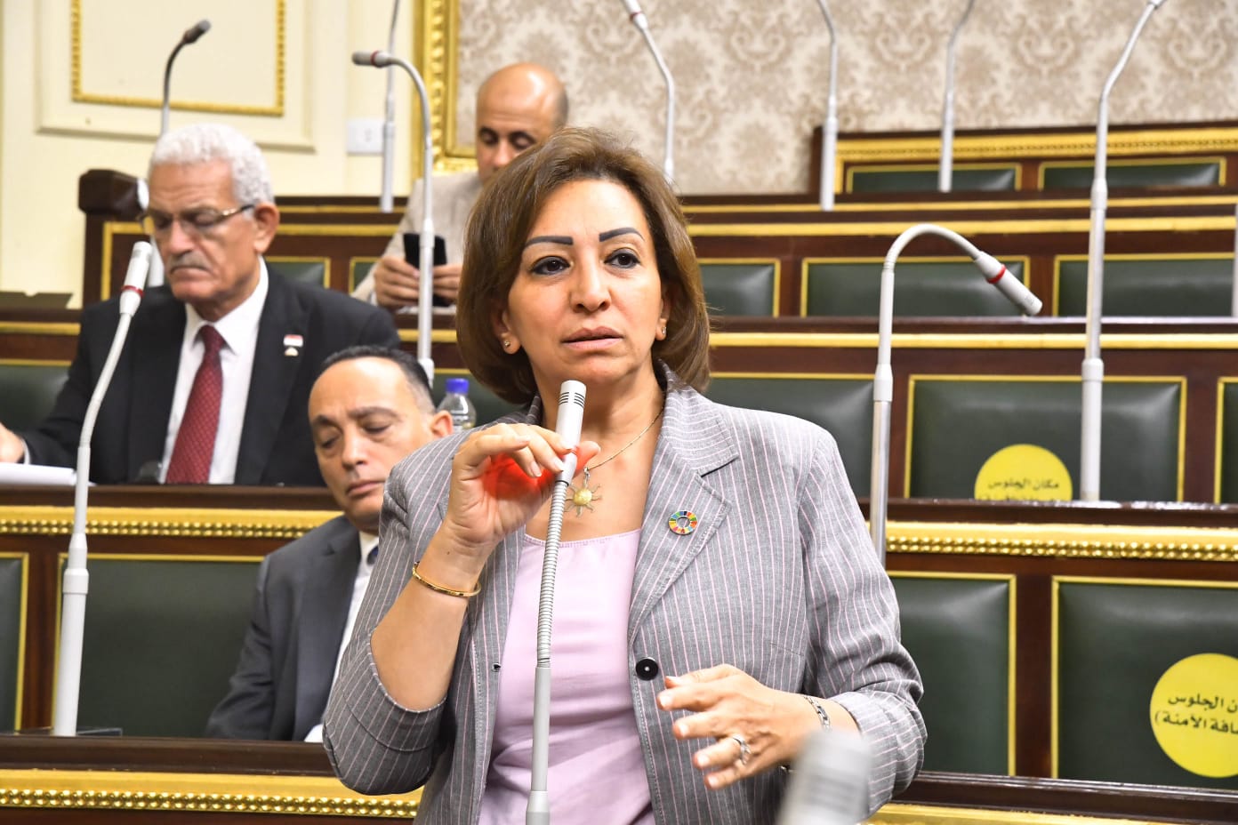 النائبة مها عبد الناصر تتقدم بسؤال برلماني عن الاجراءات المعقدة لتحويل الطلاب بين المدارس الرسمية