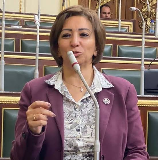 النائبة مها عبد الناصر: نثمن توجيهات الرئيس السيسي بالتوسع في اجراءات الحماية الاجتماعية.. ونطمح في المزيد