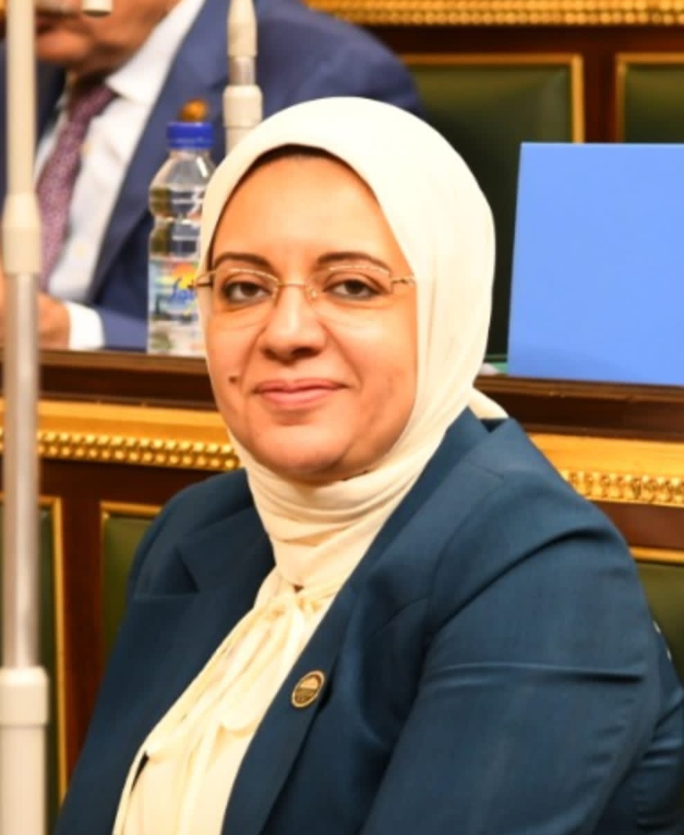 بحضور وزير التنمية المحلية.. النائبة ريهام عبدالنبي تستعرض عدد من المشكلات التي يعاني منها مركز "إدفو" بمحافظة أسوان