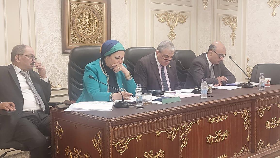 "قوى النواب" توجه الشكر للرئيس السيسي على حزمة قرارات الحماية الاجتماعية