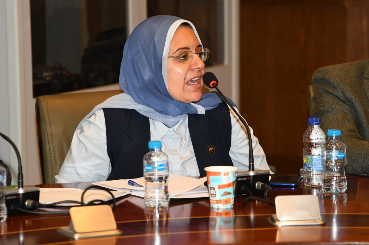 النائبة ريهام عبدالنبي تشارك فى ورشة عمل حول تطبيق اللامركزية وإنشاء محافظة مستقلة للواحات البحرية