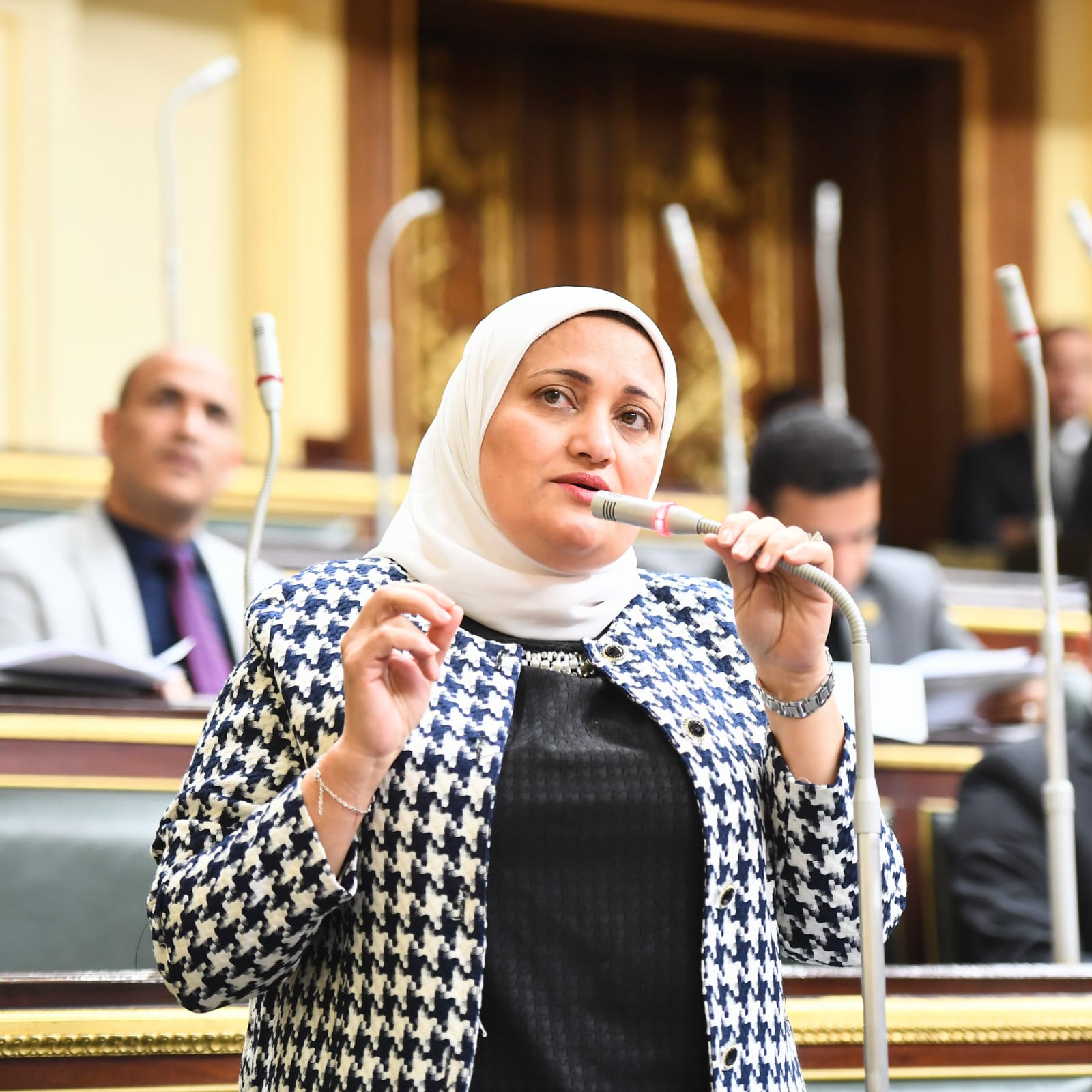 النائبة سناء السعيد تعلن رفضها لمشروع انشاء صندوق جديد لهيئة قناة السويس: