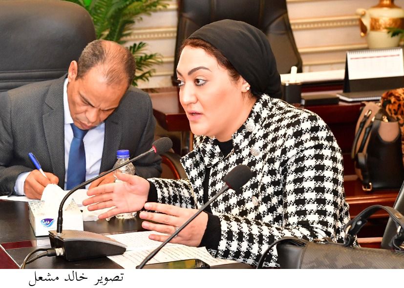 في اليوم العالمي لـ"حقوق الإنسان"... النائبة أسماء الجمال: مصر في عهد السيسي نهضت بحقوق الإنسان بما يتوافق مع الجمهورية الجديدة