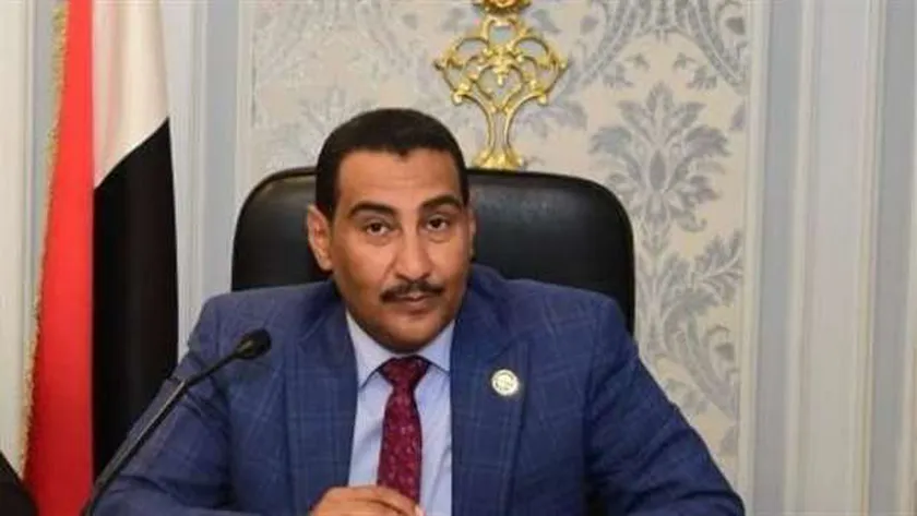 النائب محمد الجبلاوي: زيارات الرئيس السيسي الخارجية تعزز من دور مصر الرائد اقليميا ودوليا