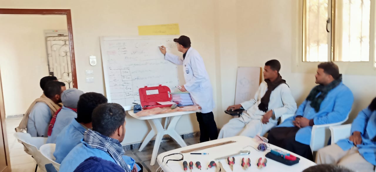 "وزارة الإنتاج الحربي" و"مؤسسة مصر الخير" تتعاونان لتدريب شباب قرى "حياة كريمة" بمحافظة قنا