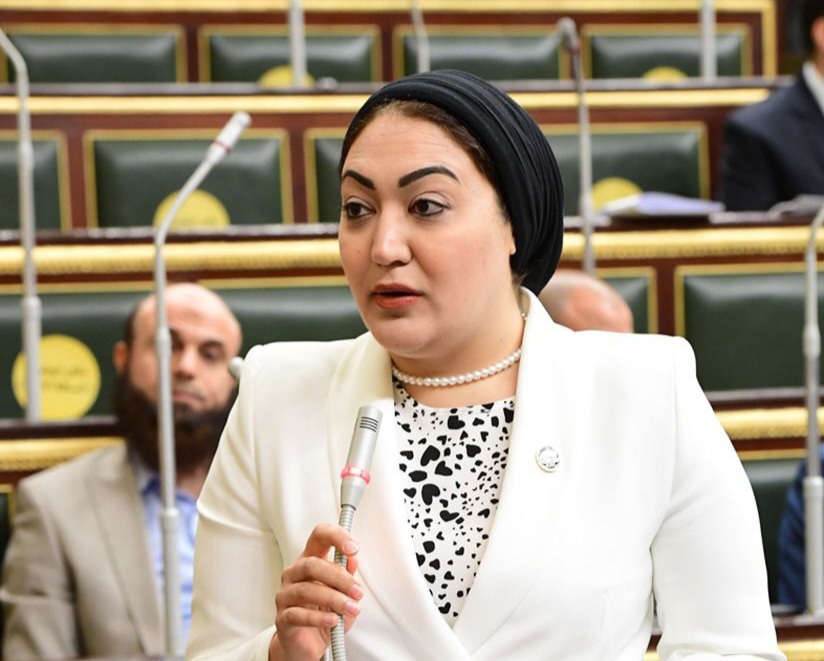 النائبة أسماء الجمال: القيادة السياسية داعمة بقوة للمجتمع المدني والأهلي