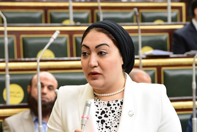 انتاجها يوفر العملة الصعبة لمصر.. النائبة أسماء الجمال تتقدم باقتراح برغبة للحكومة بشأن توطين صناعة بطاريات الليثيوم في مصر