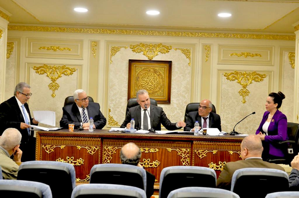 "شكاوى النواب" تناقش اقتراح برغبة لنائبة التنسيقية بشأن تعديل المعيار المحاسبي المتبع في تقييم أصول الشركات المصرية