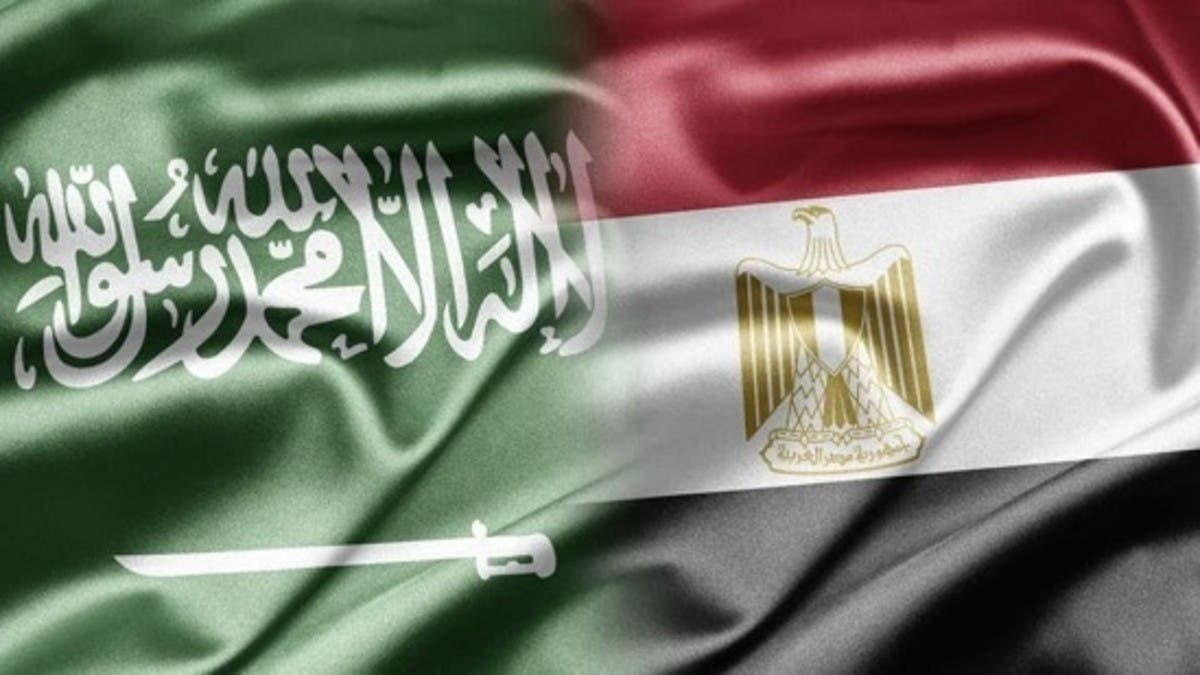 القاهرة والرياض ترفضان تدخل إيران بشؤون المنطقة العربية وتعبران عن قلقهما على أمن الملاحة
