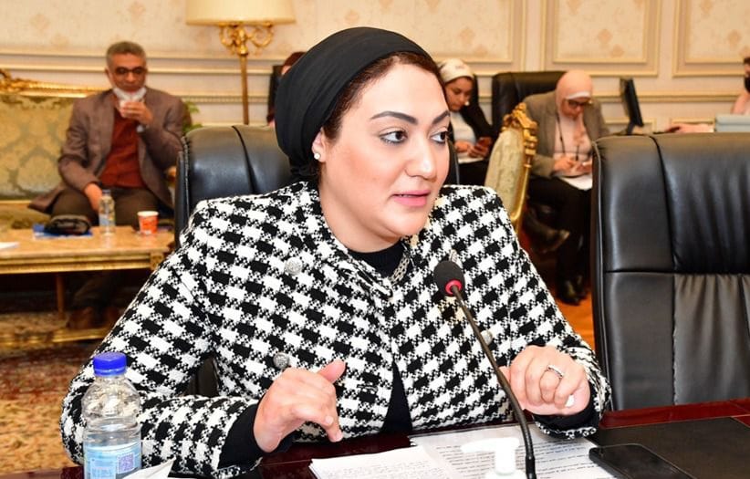 النائبة أسماء الجمال: محاولات أهل الشر للوقيعة بين مصر والسعودية مصيرها الفشل