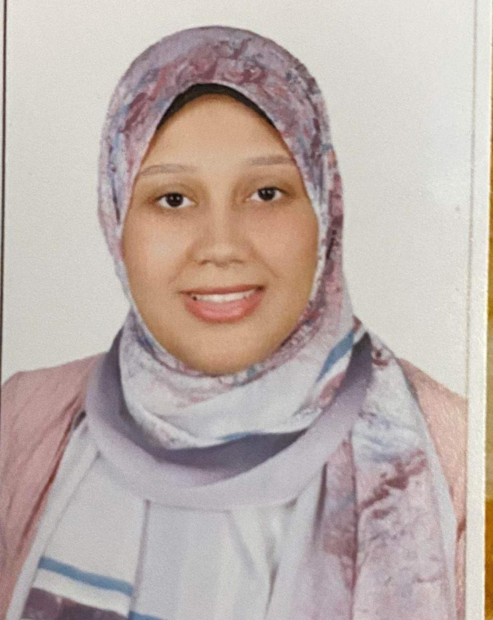 روضة زين تكتب ..الذاكرة البشرية والرحلة المعلوماتية