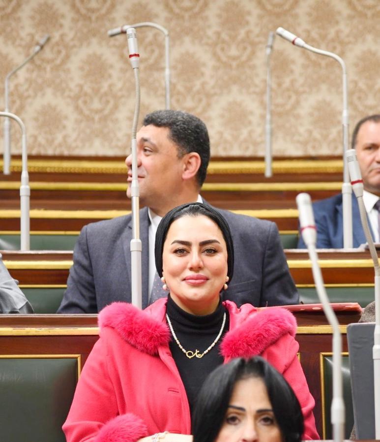 لحرمان المرأة المعيلة من معاش زوجها حال نزولها للعمل.. النائبة رحاب موسى تتقدم بتعديل على قانون المعاشات