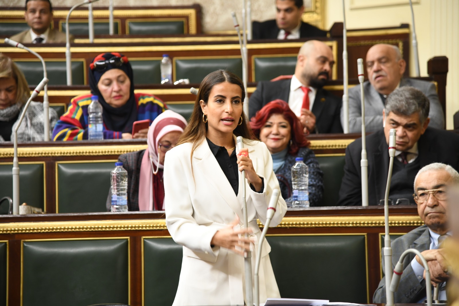 من لا يملك قوت يومه لا يملك قراره..إيلاريا حارص تشيد بتوجيهات الرئيس بدعم القطاع الزراعي