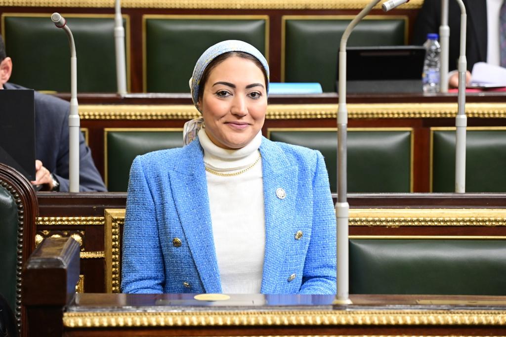 النائبة أسماء الجمال تتقدم بمشروع قانون التجارة يستهدف مواجهة أزمة "شيك بدون رصيد"