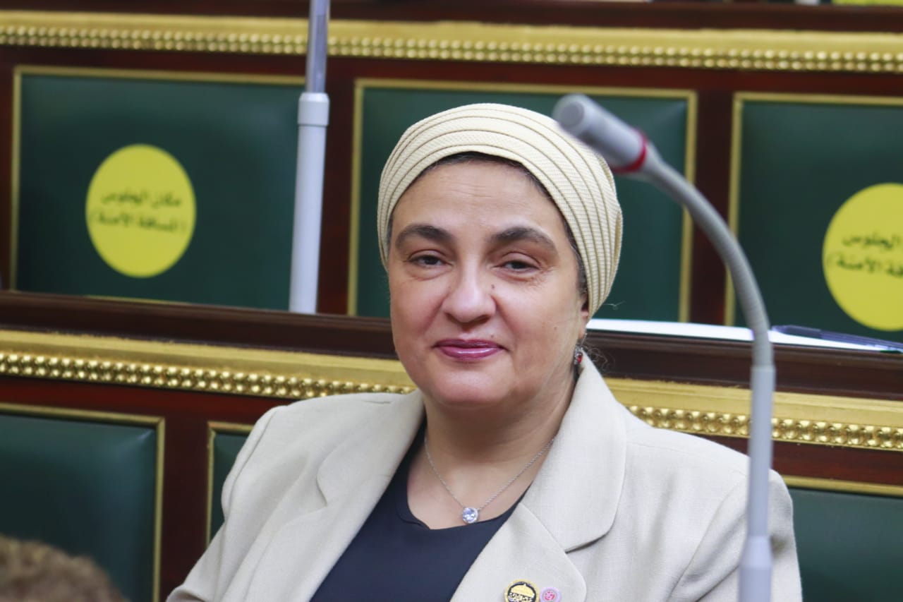 النائبة سميرة الجزار: ثورة يناير خلقت حالة الإصرار على العمل والإنجاز