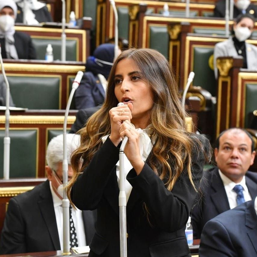 برلمانية: يوم الشهيد محفورا في وجدان المصريين لتضحياتهم المستمرة على مر العصور