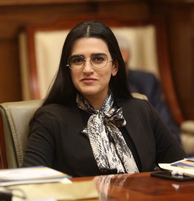 النائبة روان لاشين: يوم الشهيد ذكرى تجسد معاني التضحية الحقيقة من أجل الوطن الغالي