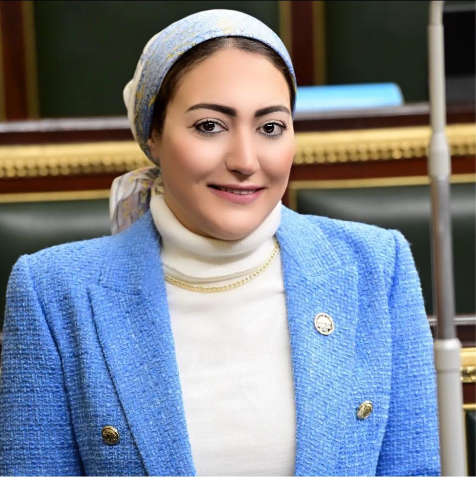"زراعة النواب" تناقش طلب إحاطة النائبة أسماء الجمال إنشاء مشروع صوب زراعية بصحراء الجيزة.. والحكومة ترد