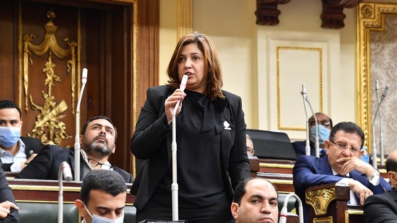 النائبة أميرة العادلي: لم يعد لدينا رفاهية الإختيار ومجبرون على حل مشكلة القضية السكانية كدولة ومواطنين