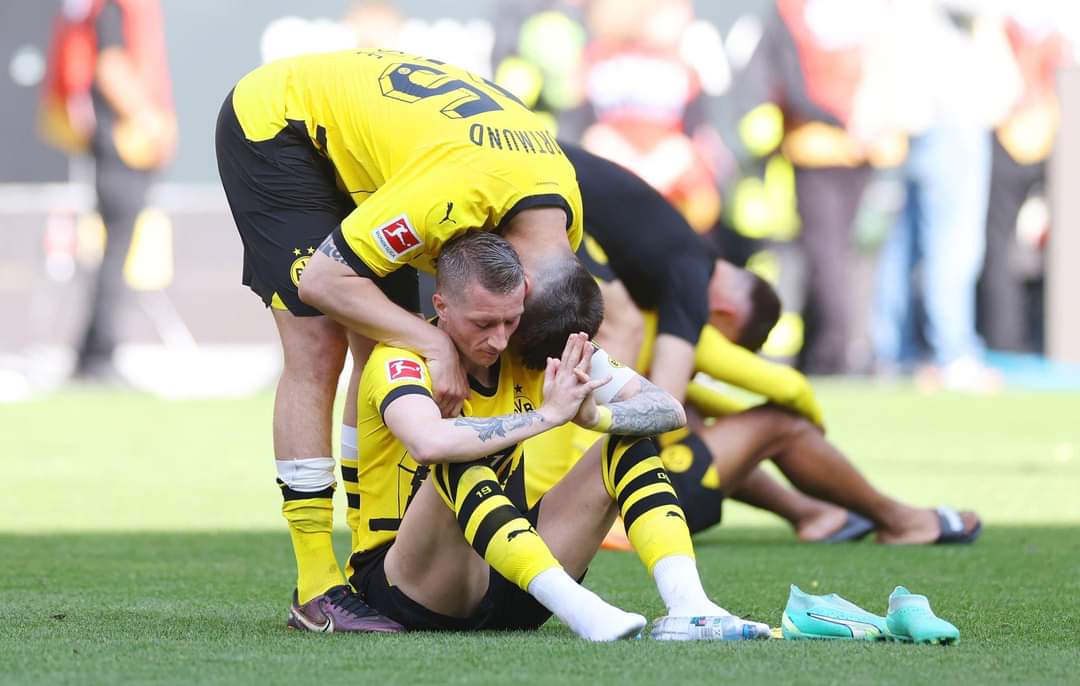بوروسيا دورتموند يهدى بايرن ميونخ لقب الدوري الألماني بتعادل مخيب مع ماينز