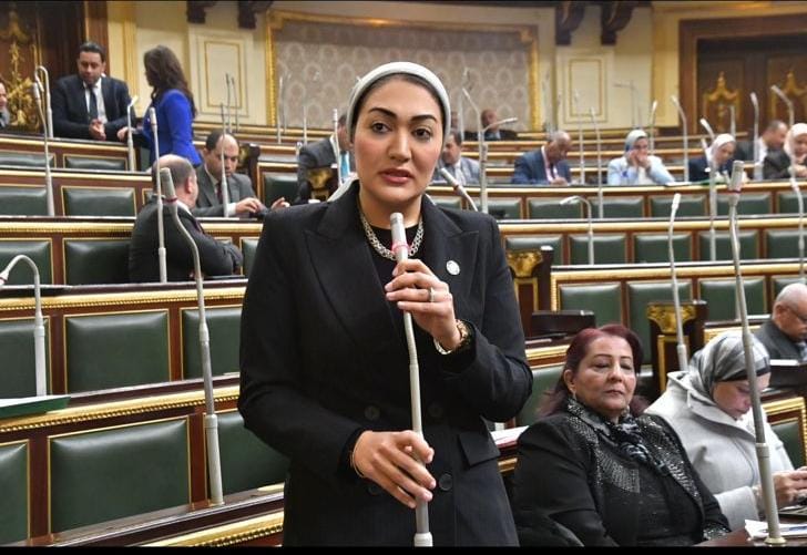 النائبة أسماء الجمال تتقدم بطلب إحاطة موجه للحكومة بشأن زيادة الأسعار