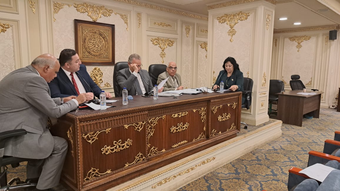 "اقتراحات النواب" تناقش تطوير العشوائيات بالدقهلية.. وتوصي بحصرها لإدخالها حيز التطوير
