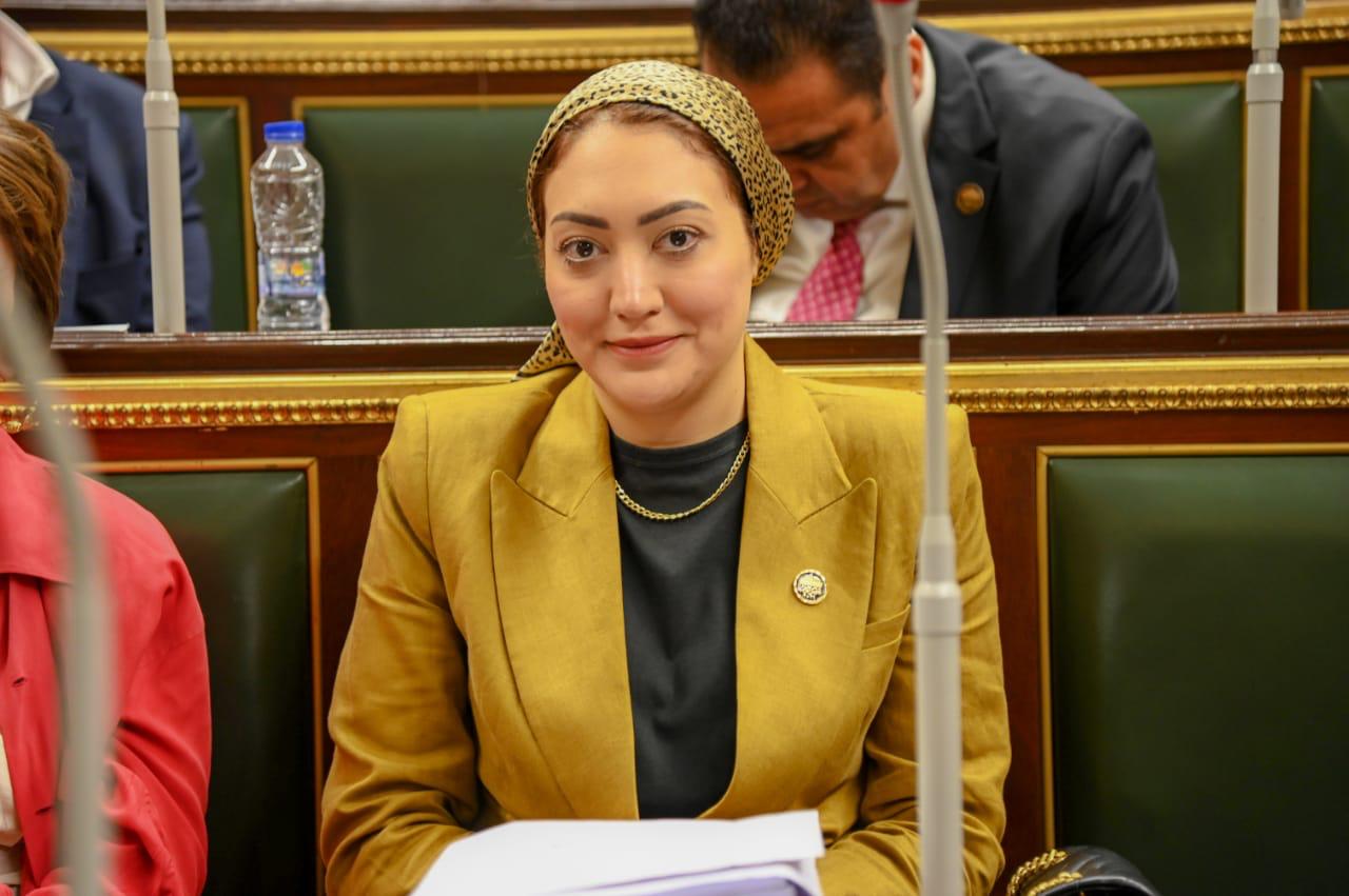 النائبة أسماء الجمال: إعلان الحكومة توقف الحصول على القروض يواجه التضخم