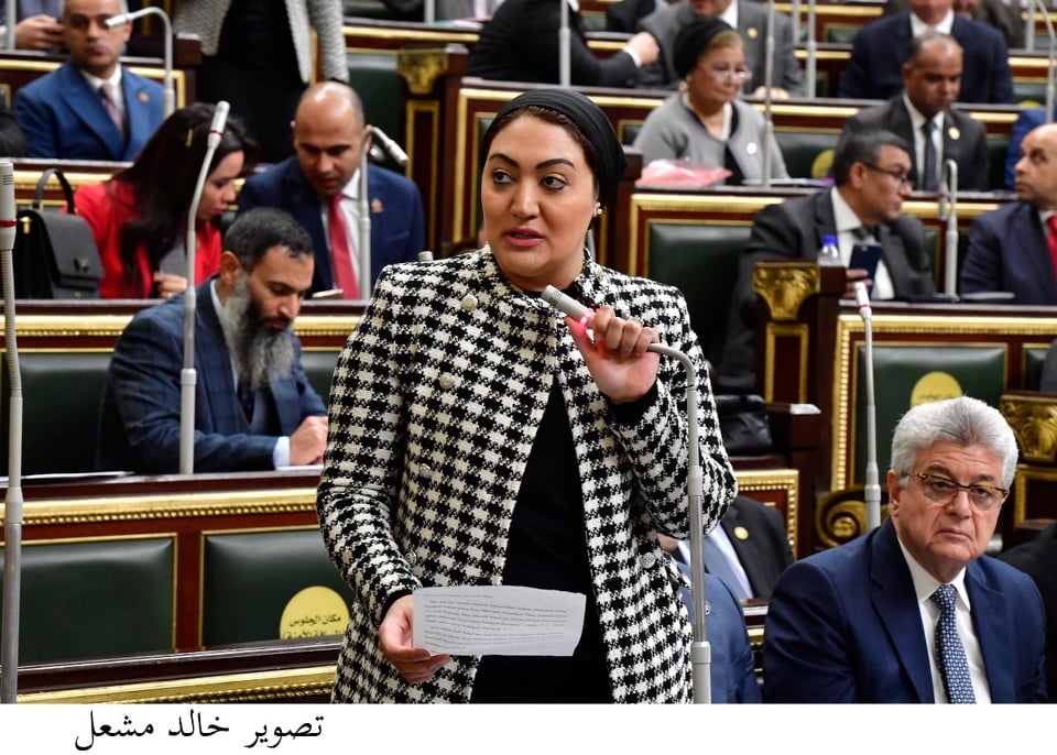 النائبة أسماء الجمال: سرعة تنفيذ الحكومة توجيهات الرئيس السيسى بشأن منح مشروعات الصناعة حوافز ستدفع عجلة الإنتاج للأمام