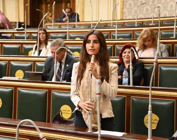 إيلاريا حارص: حفظ قضايا التمويل الأجنبي ال 75 دفعة قوية لمنظمات المجتمع المدني للقيام بدورها