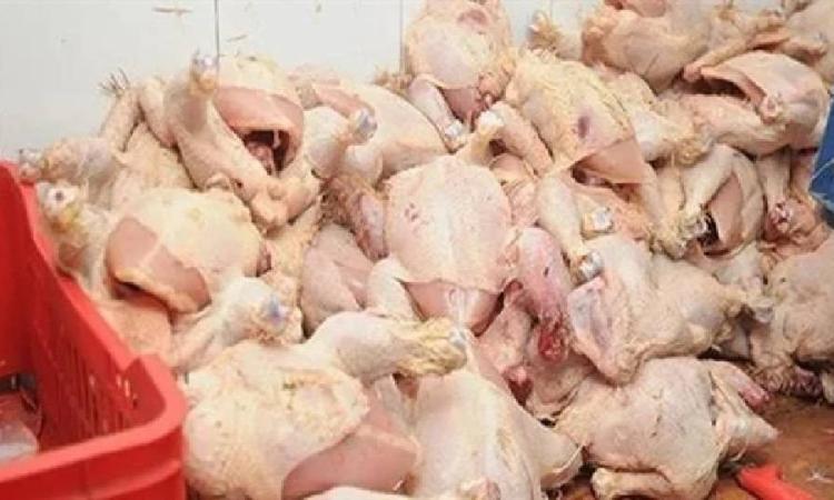 ضبط 738 كيلو من الدواجن والكفتة الفاسدة بمحل شهير بالساحل