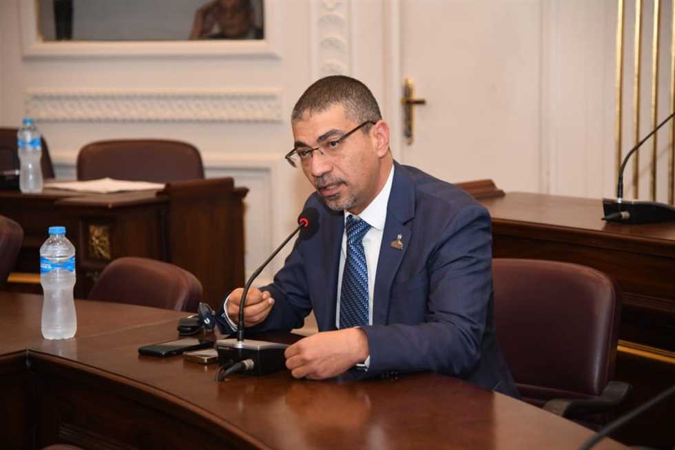 محمد البدري :القيادة السياسية لم ولن تتخلى عن التزاماتها تجاه القضية الفلسطينية