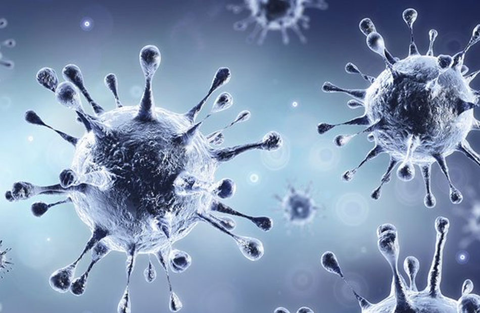 بعد كورونا “فيروس نيباه” Nipah يخترق العالم ويهدد البشرية.. تعرف على الأعراض وطرق الوقاية