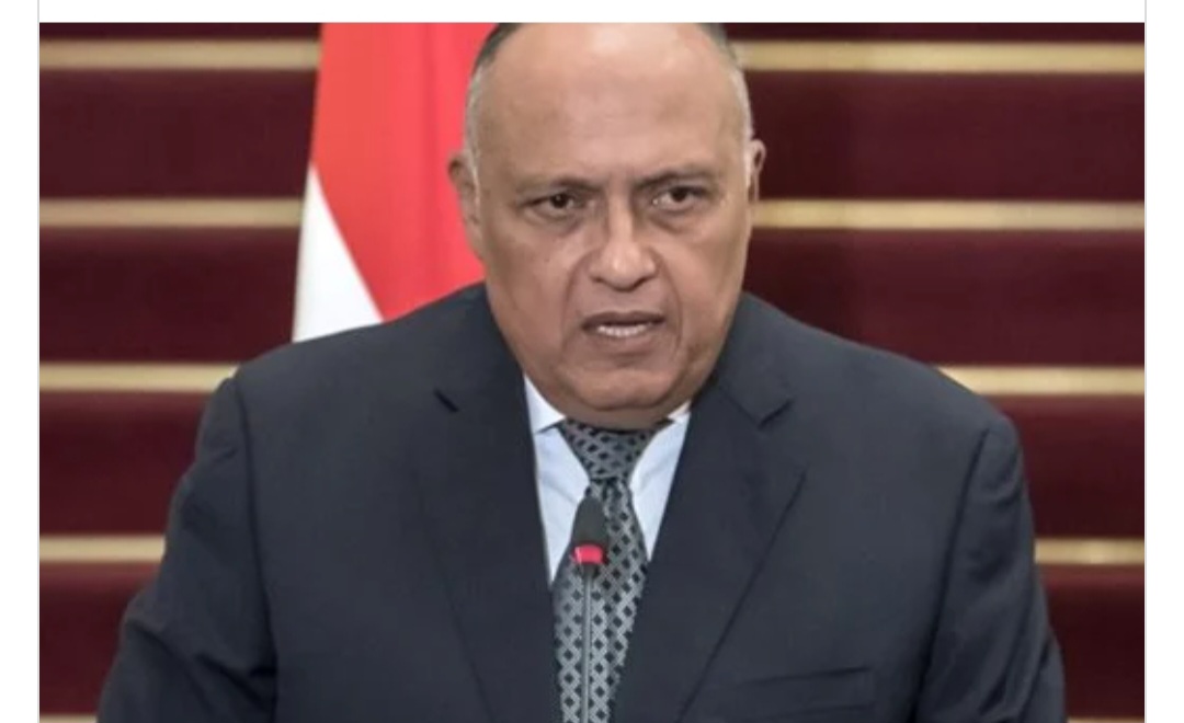 سامح شكري: مصر قدمت 5400 طن مساعدات لغزة رغم التحديات الاقتصادية