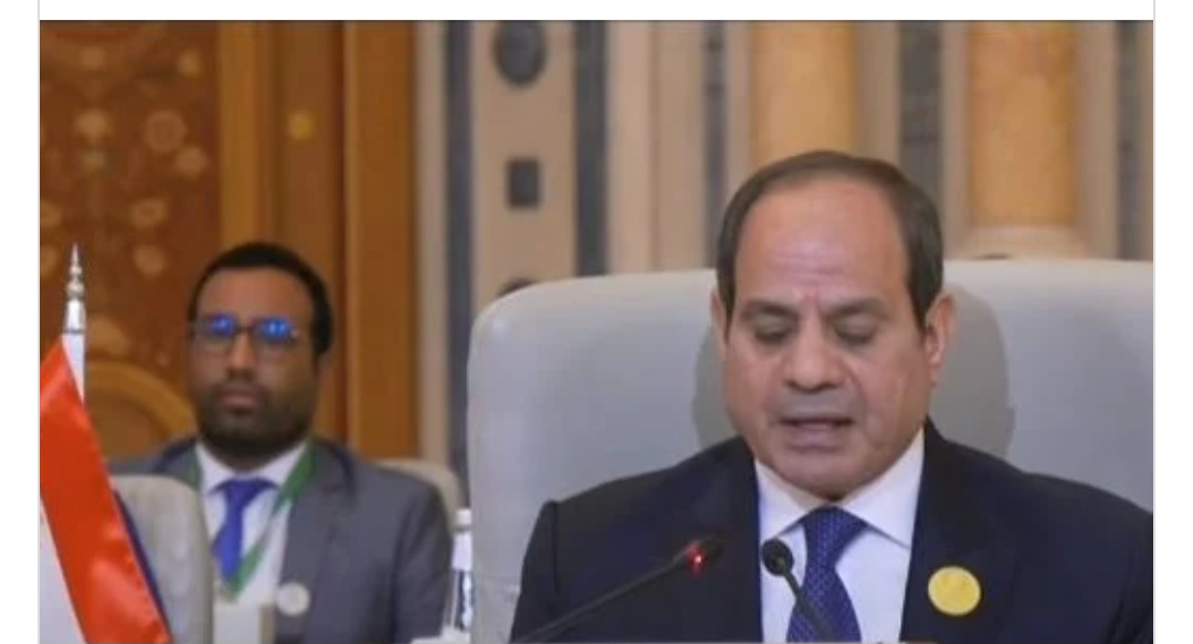 السيسي: سياسة العقاب الجماعي لأهل غزة غير مقبولة