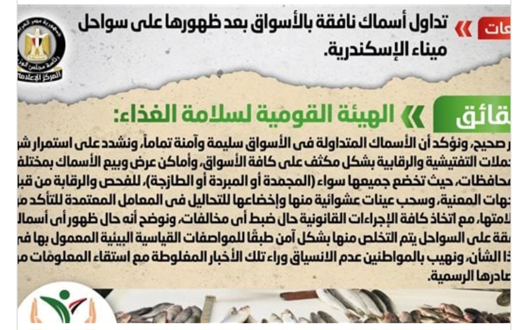 حقيقة تداول أسماك نافقة بالأسواق بعد ظهورها على السواحل