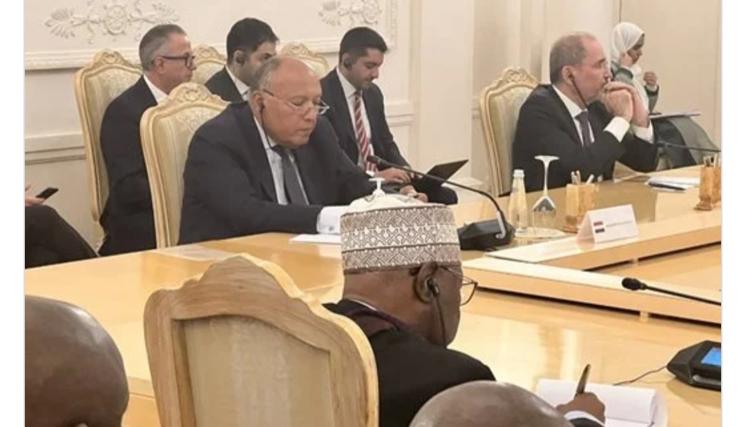 وزير الخارجية: القصف المستمر للنازحين في جنوب غزة هدفه اجبارهم مغادرة القطاع