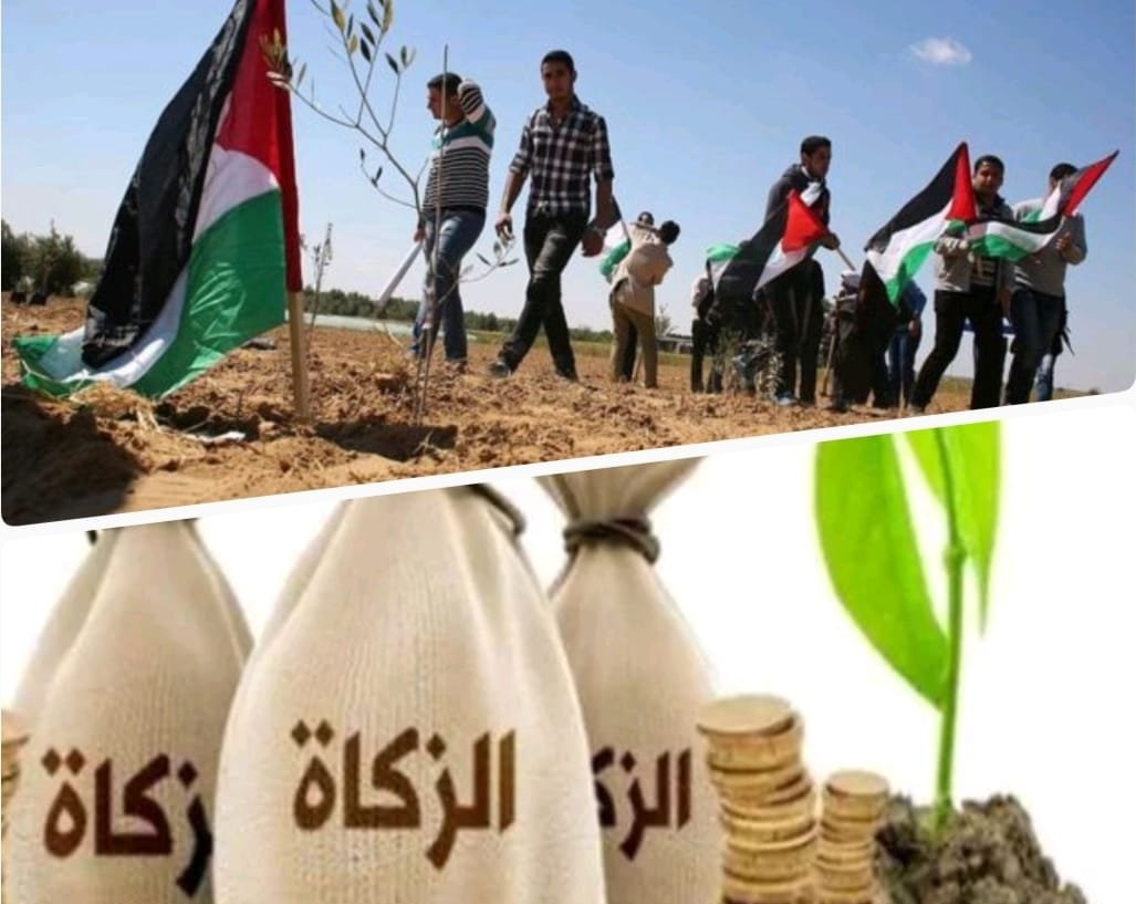 هل يجوز دفع الزكاة للمجاهدين في فلسطين؟.. الإفتاء تجيب