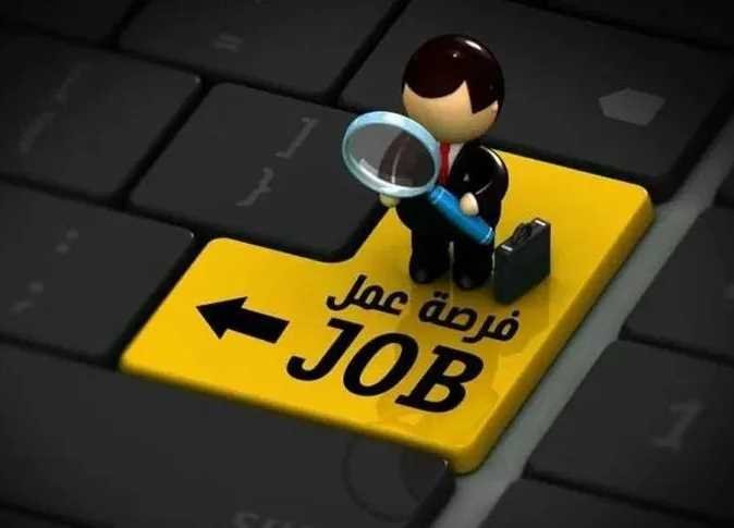 البترول توفر وظائف جديدة.. اعرف الشروط والمستندات وآخر موعد للتقديم