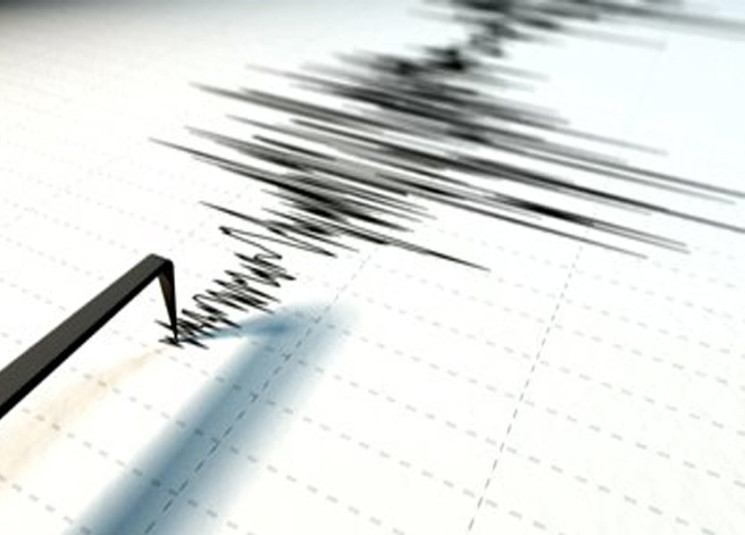 بقوة 4.6 درجة.. زلزال يضرب بابوا غينيا الجديدة