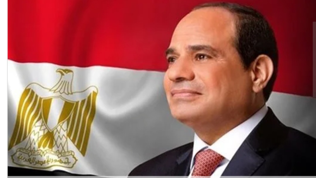 السيسي يناقش مع رئيس ليتوانيا تحديات الهجرة غير الشرعية وتطورات أحداث غزة