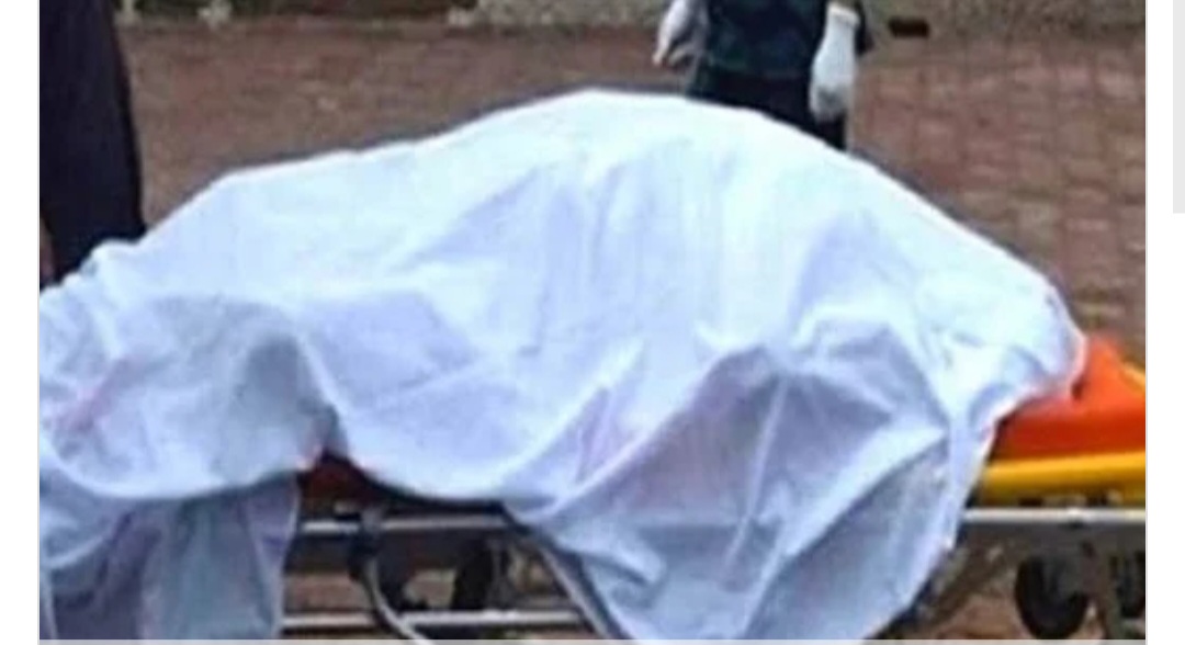 غرام الأفاعي.. شاب يتخلص من خطيبته السابقة حتى لا تتزوج غيره