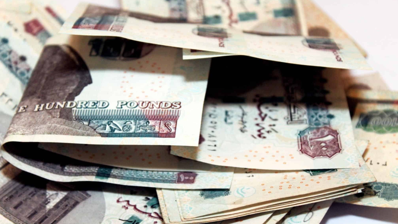 تفاصيل وشروط.. خطوات الحصول على منحة من وزارة التضامن "30 ألف لكل سيدة"