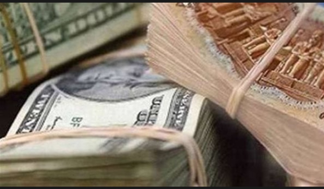 الحكومة تكشف السعر المتوقع للدولار أمام الجنيه في السوق الموازي