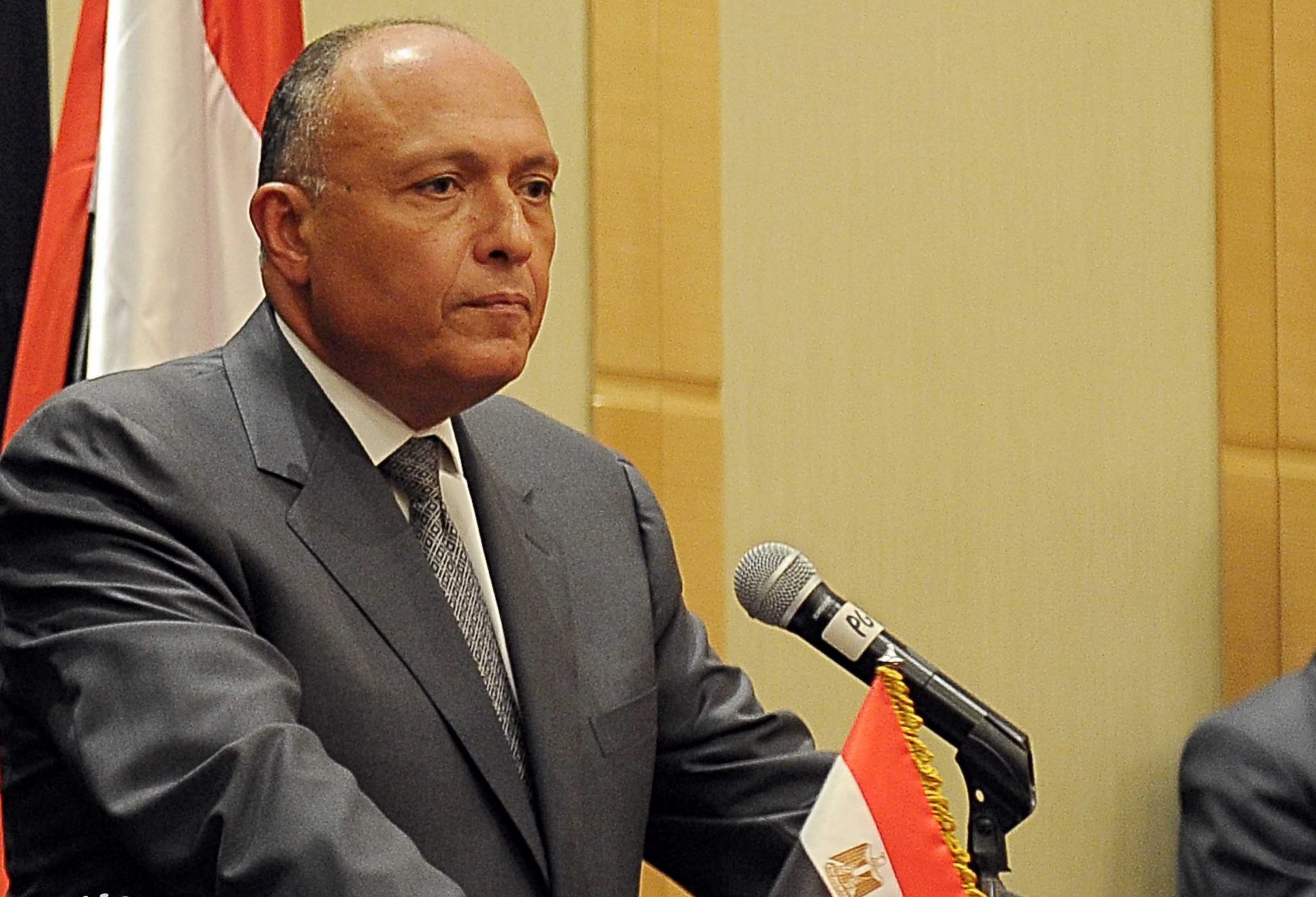 وزير الخارجية يؤكد دعم مصر الكامل للصومال.. ويدعو إلى احترام سيادته ووحدة أراضيه