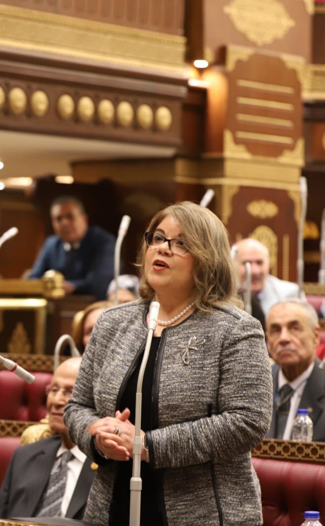وكيل الشيوخ: قطاع النقل في مصر يشهد تطورات غير مسبوقة