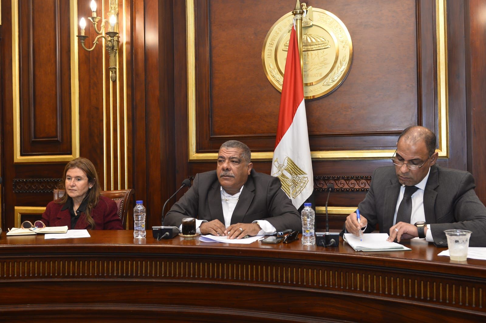 صناعة النواب توصي بالإسراع لعمل طواحين شركة شلاتين لحماية الذهب من التنقيب العشوائي