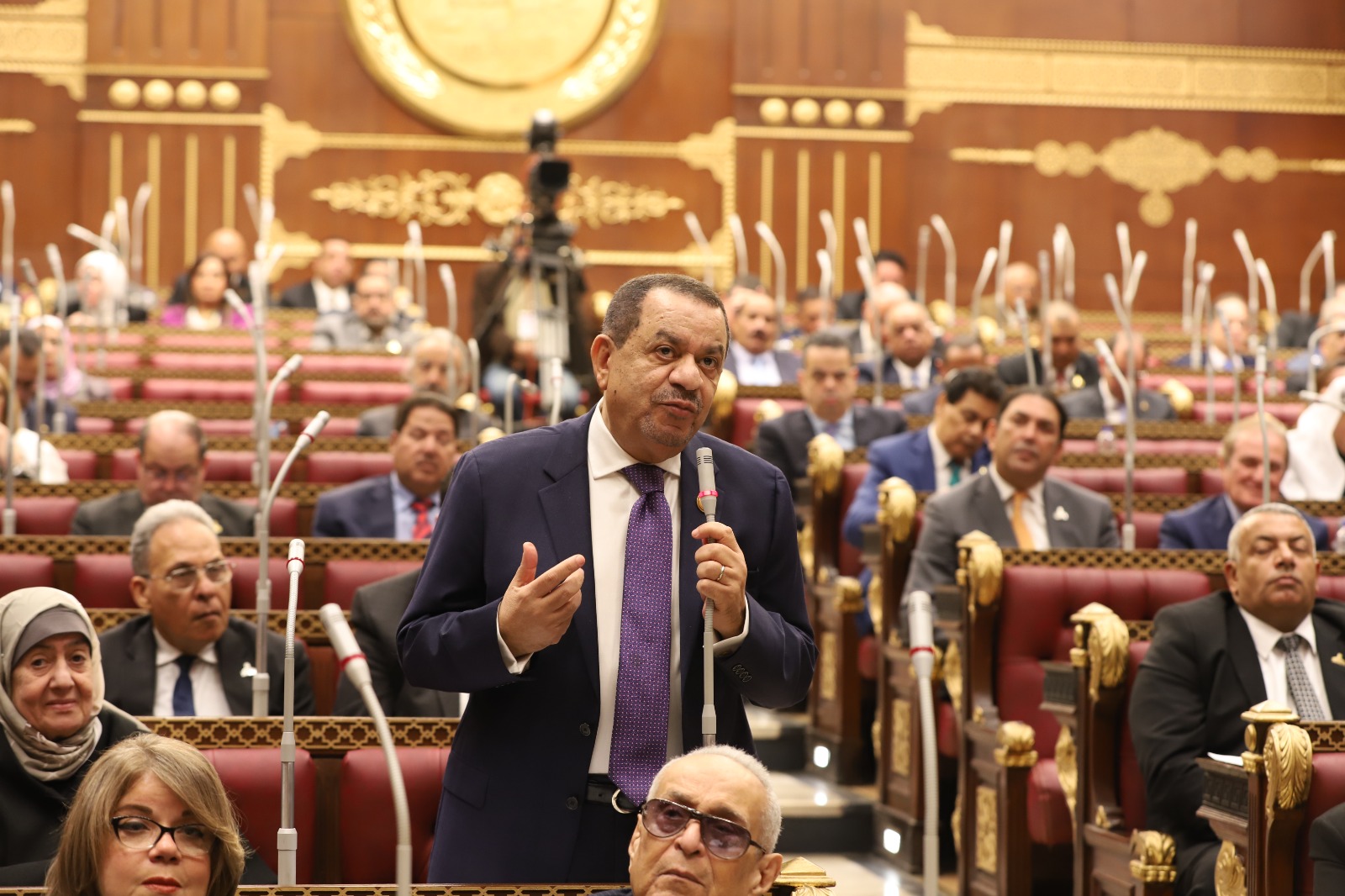 رئيس زراعة الشيوخ يدعو لزيادة موارد صندوق تكافل وكرامة وتحديد حد أدنى للضمان الاجتماعى